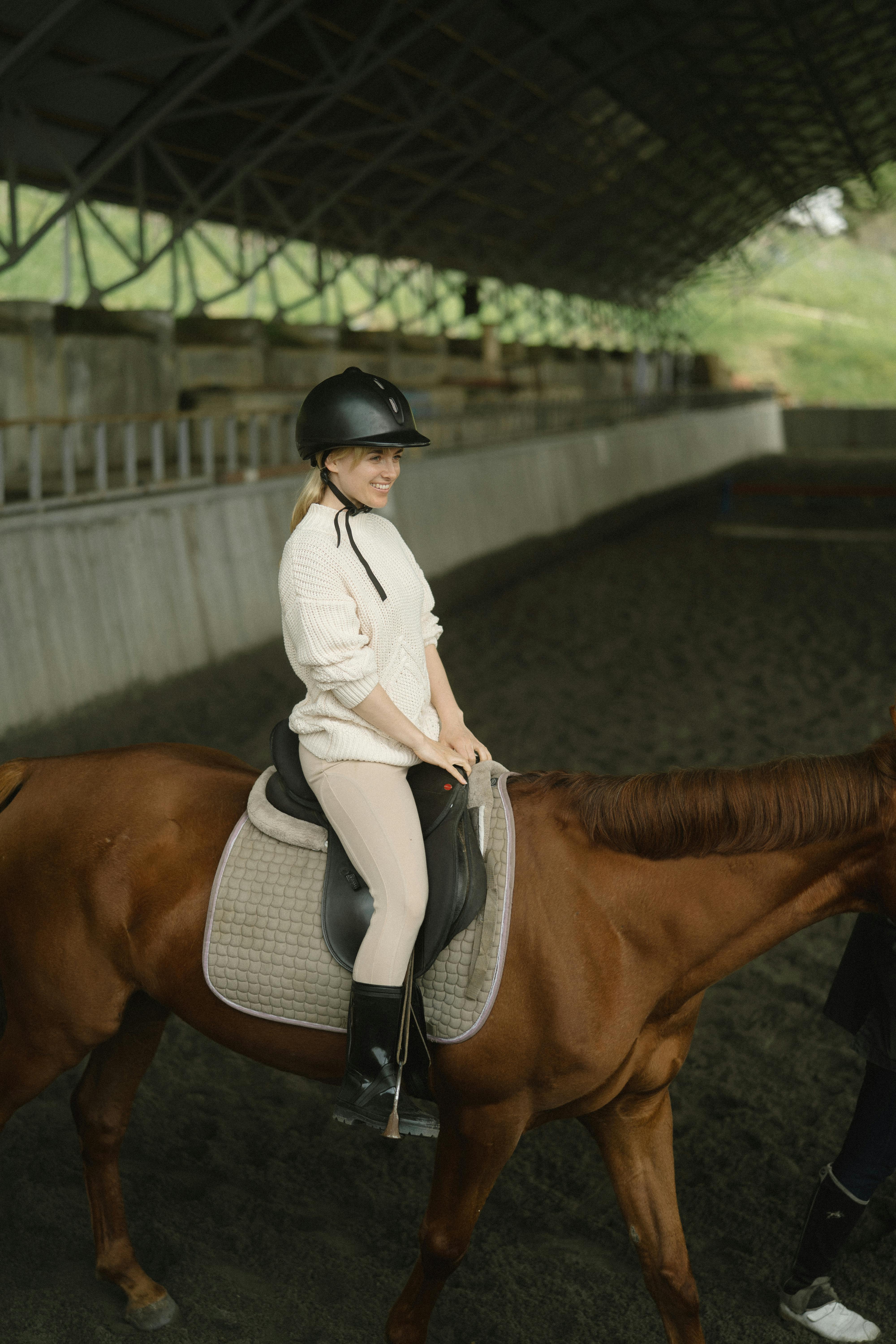 Equestrian rider, independent equestrian retailer technical SEO audit